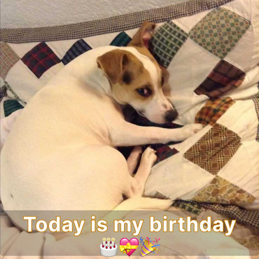 It’s his birthday today, make sure to send him wishes