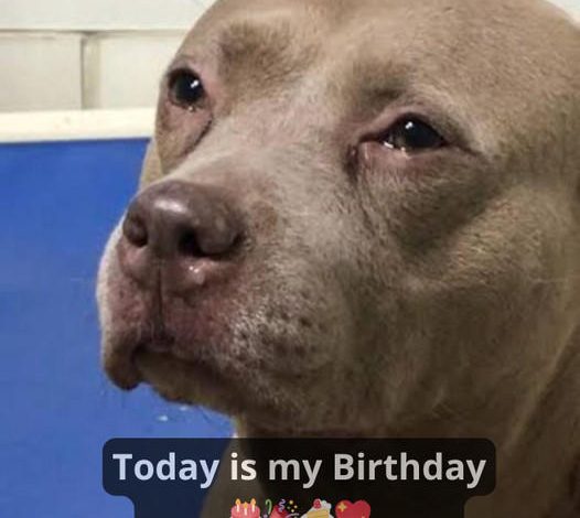 Today is an important day for me, yet I feel ignored since no one has made any effort to celebrate with me