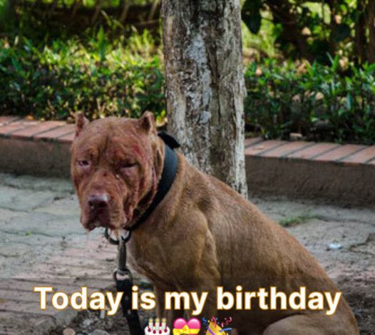 Today is my birthday. I feel down since no one has sent me any birthday wishes