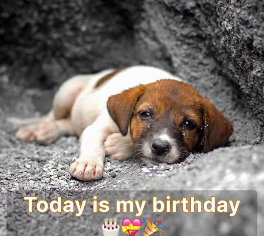 It’s my birthday today, and I’m feeling quite down since I haven’t received any birthday messages from anyone