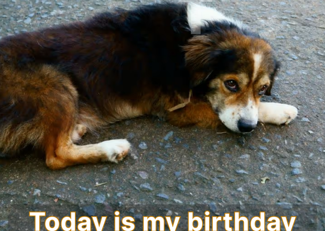 Today is my birthday, but I’m feeling quite down because nobody has sent me any birthday wishes