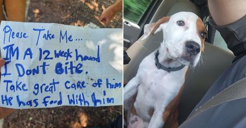 The note sparked both shock and anger among animal control officers and many others