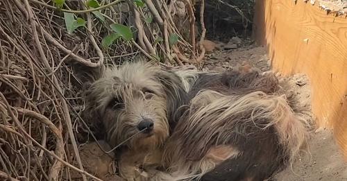 She hoped they would let her in, but there was no way for her to know it wasn’t going to happen