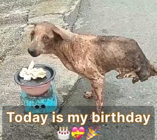 It’s my birthday today, but I haven’t gotten any wishes yet, and I feel really sad