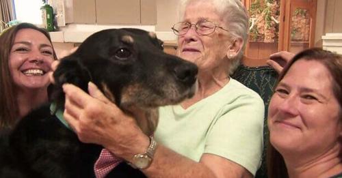 Dog Breaks Out of Shelter Repeatedly to Visit Nursing Home Residents